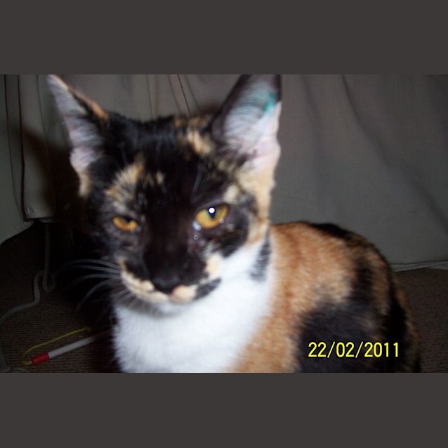Photo of Skinny