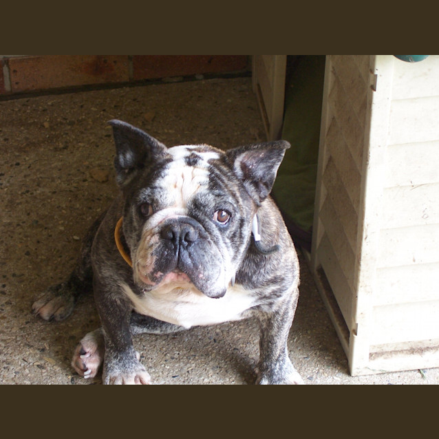 Photo of Wallace & Grommit