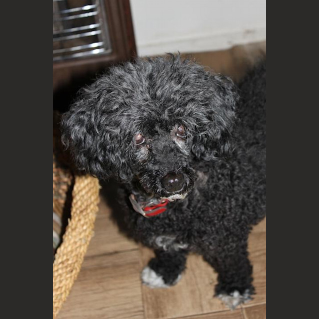 Photo of Molly