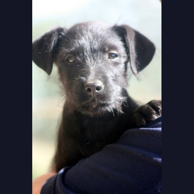 Photo of Razor
