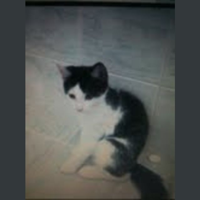Photo of Caspar