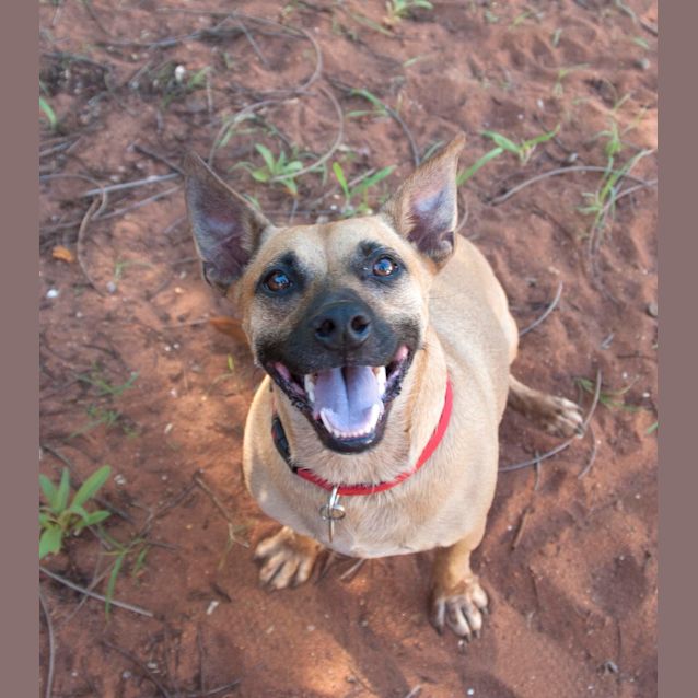 Photo of Jack(hd032)