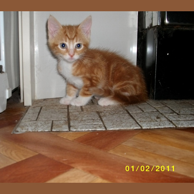 Photo of Indy