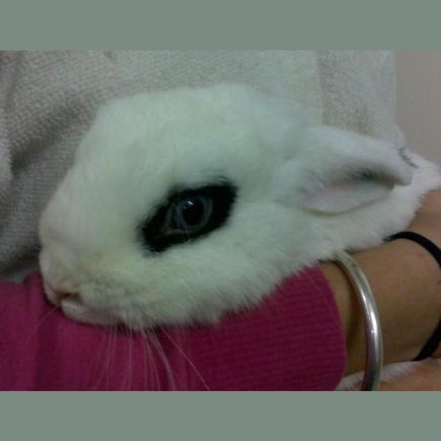 Photo of Rupert And Ruby