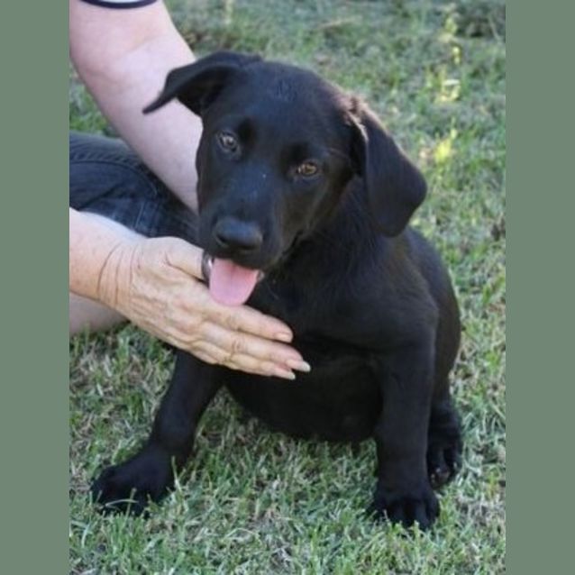 Photo of Marlan *On Trial*