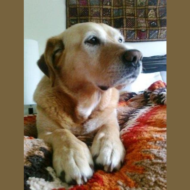 Photo of Molly