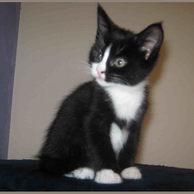Photo of Jessie
