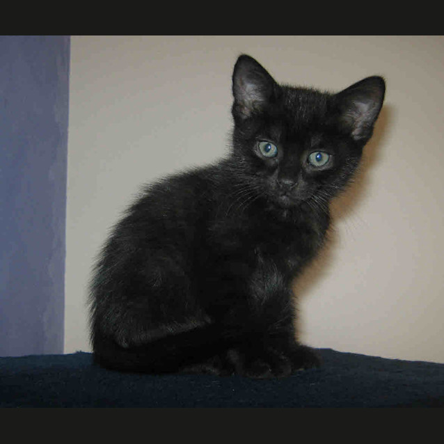 Photo of Suzie