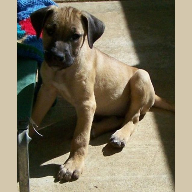 Photo of On Hold Hazelle