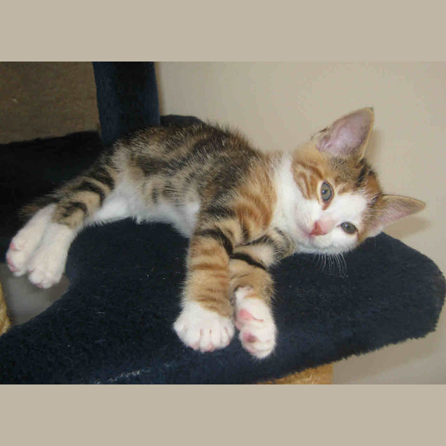 Photo of Olivia