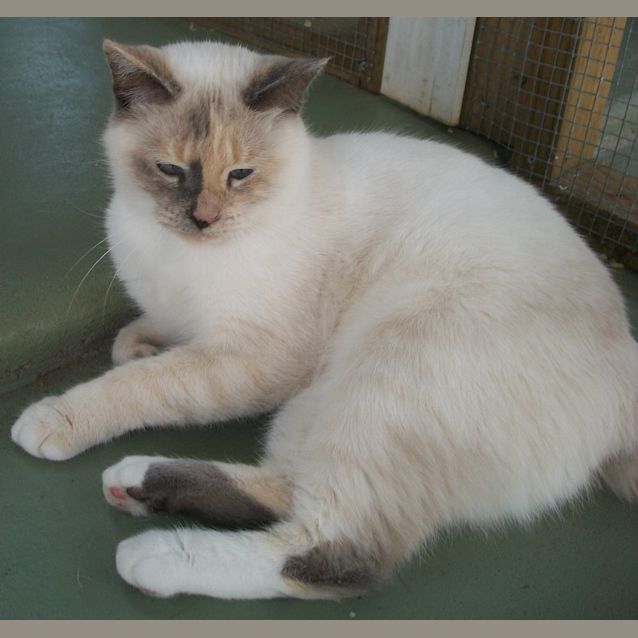 Photo of Angel
