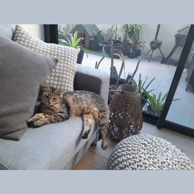 Photo of Bonnie