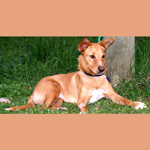 Photo of Daisey