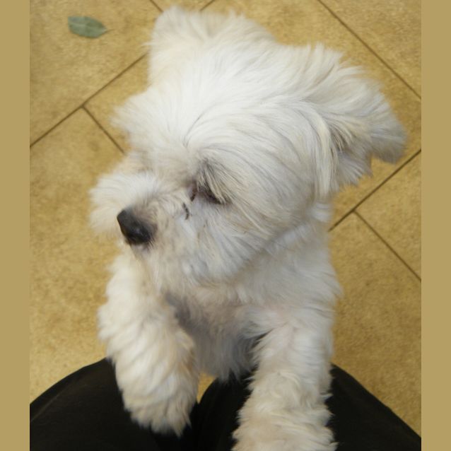 Photo of Snow Princess