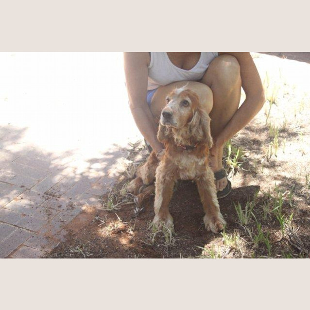 Photo of Nonyi/Adopted