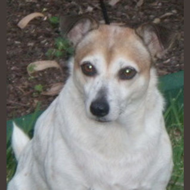 Photo of Cody = Only $200