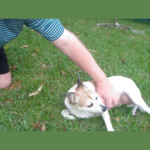 Photo of Cody = Only $200