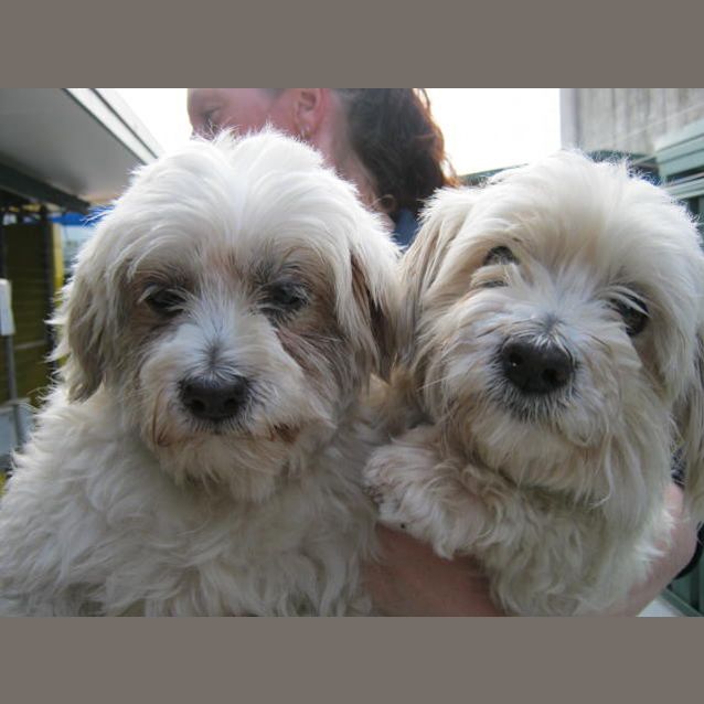 Photo of Happy And Lucky