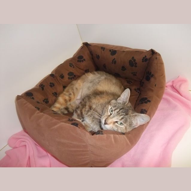 Photo of "Nulla" C10121