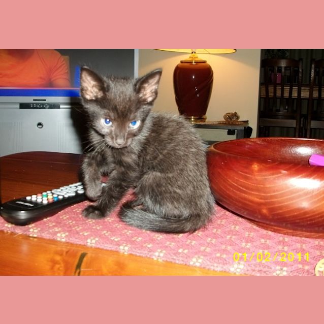 Photo of Betty