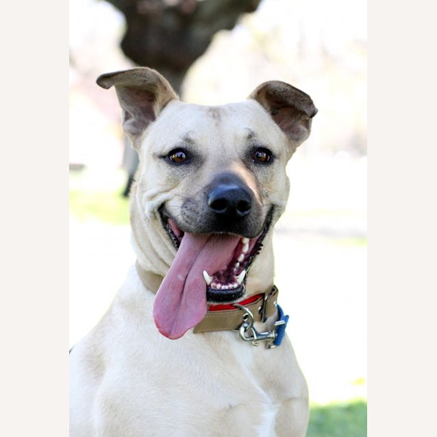 Photo of Roly