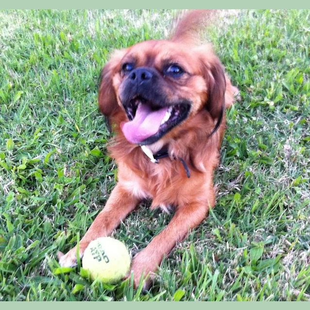 Photo of Charlie