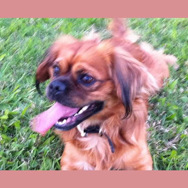 Photo of Charlie