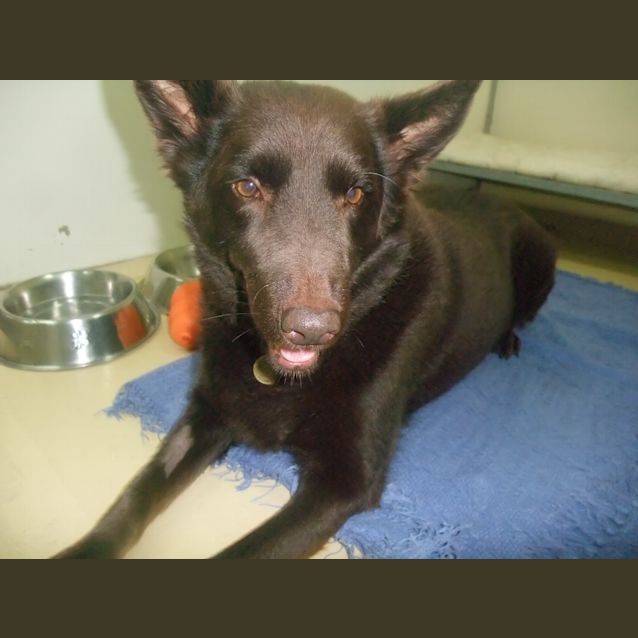 Photo of Baci