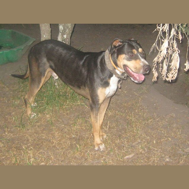 Photo of Ben   On Trial  