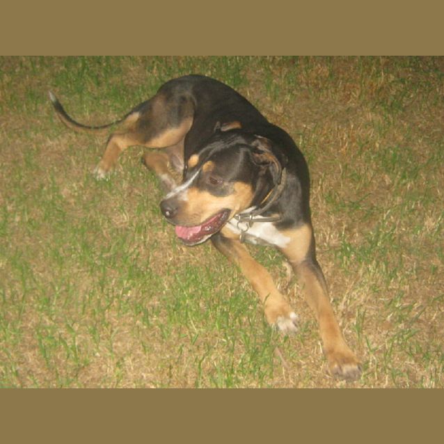 Photo of Ben   On Trial  