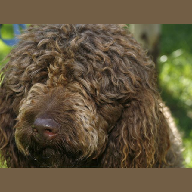 Photo of Zena