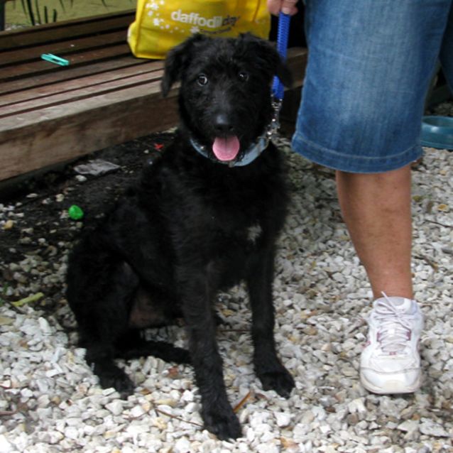 Photo of Fergus