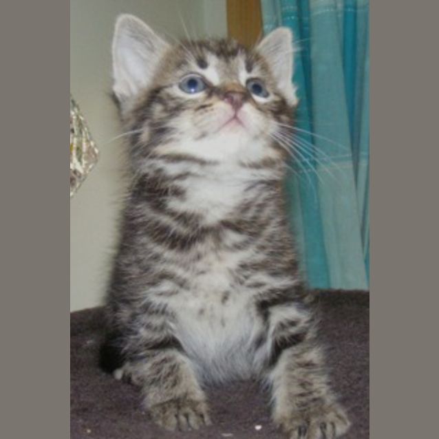 Photo of Teddy