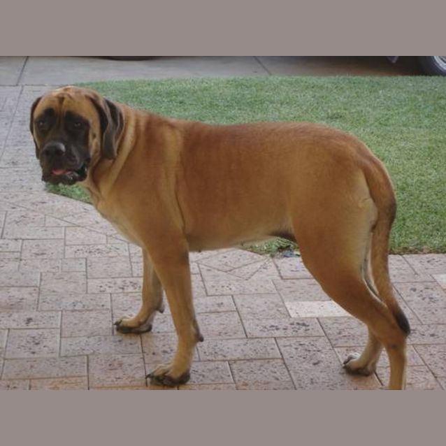 Photo of Tiny *Adoption Pending*