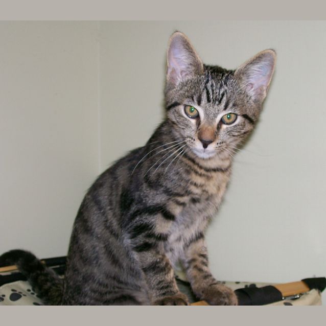 Photo of Buddy