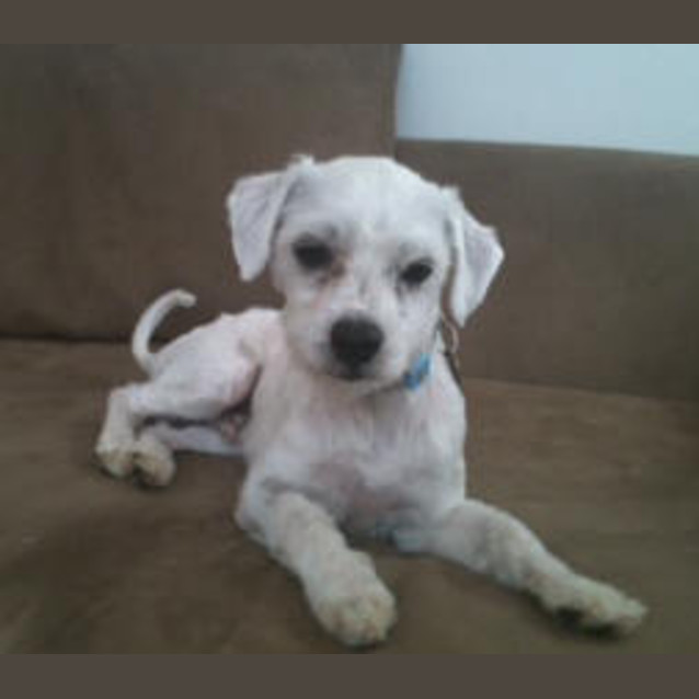 Photo of Sam