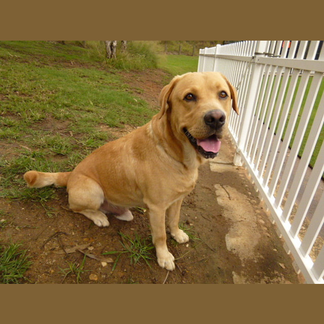Photo of Max