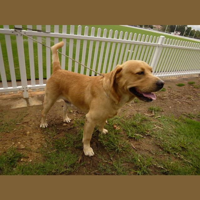 Photo of Max
