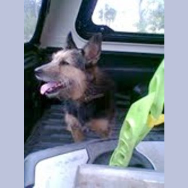 Photo of Whiskey
