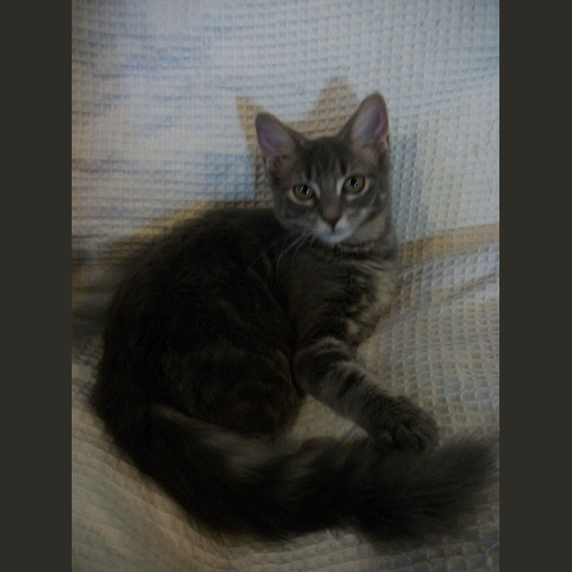 Photo of Storm