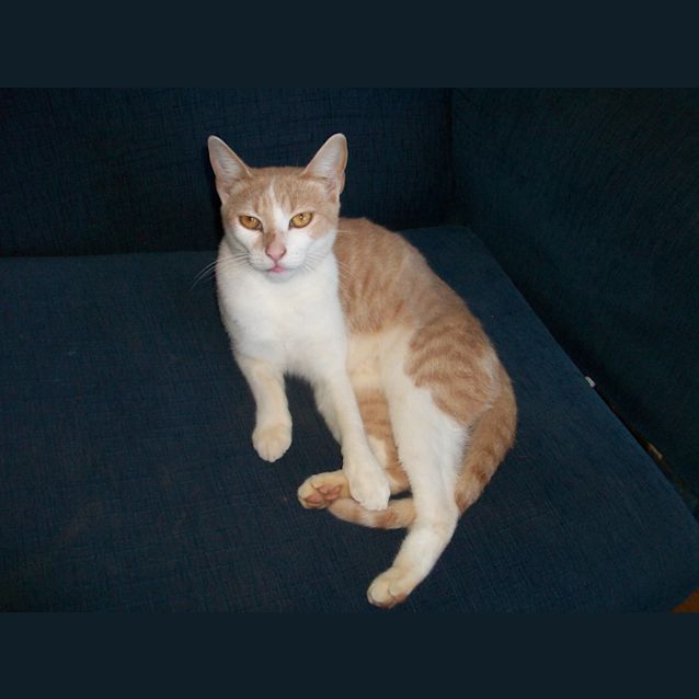 Photo of Pippa