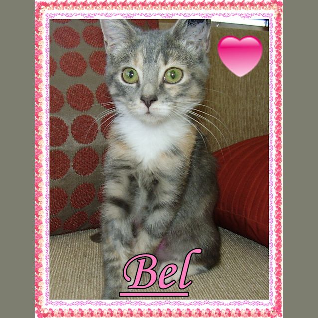 Photo of Bel