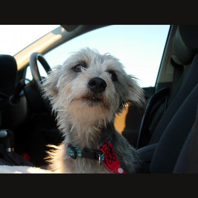 Photo of Jet