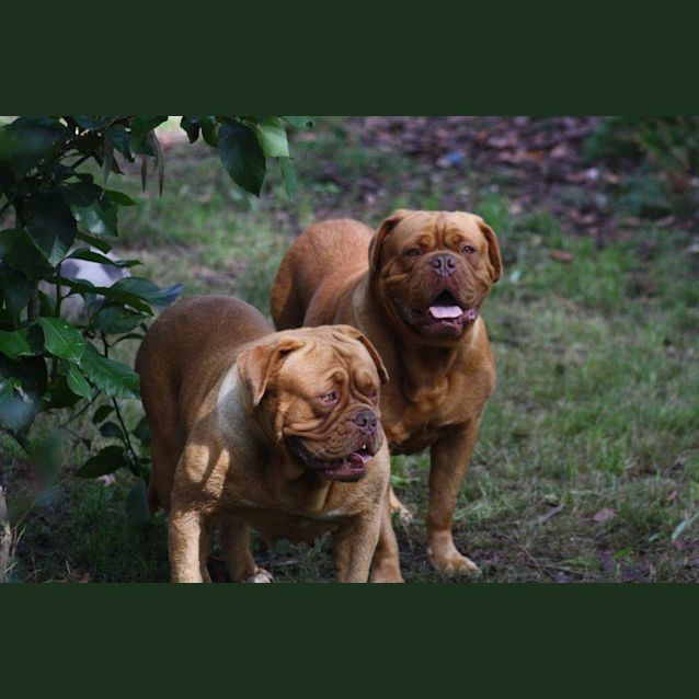 Photo of Frankie & Ruby