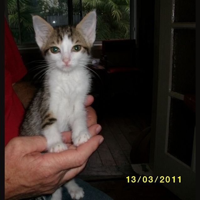 Photo of Jasmine