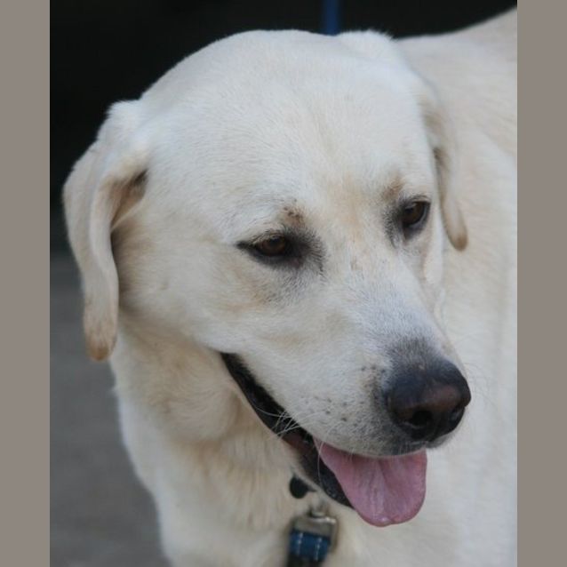 Photo of Cliff   On Hold