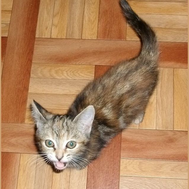 Photo of Hera