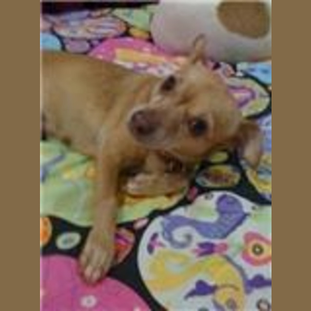 Photo of Lulu