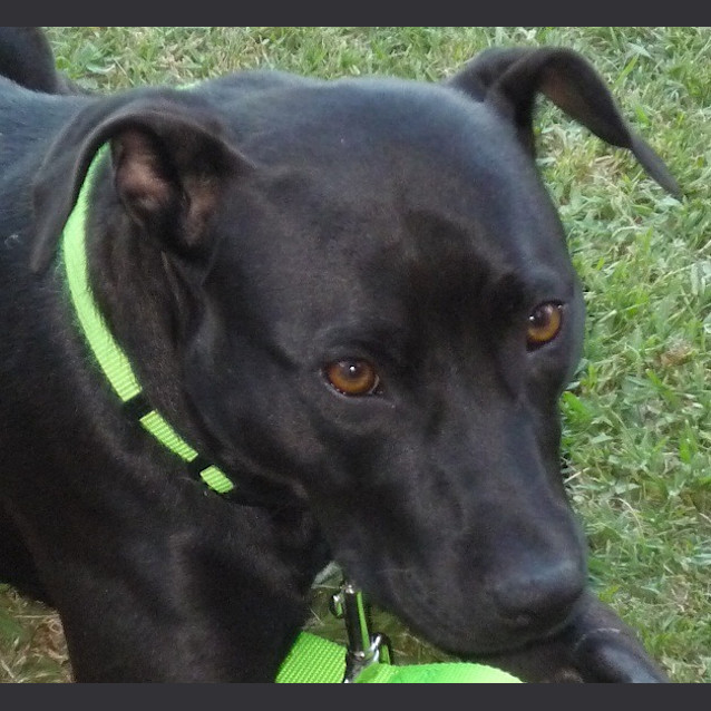 Photo of Sook
