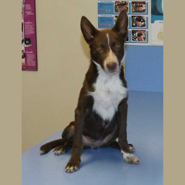 Photo of Zumba